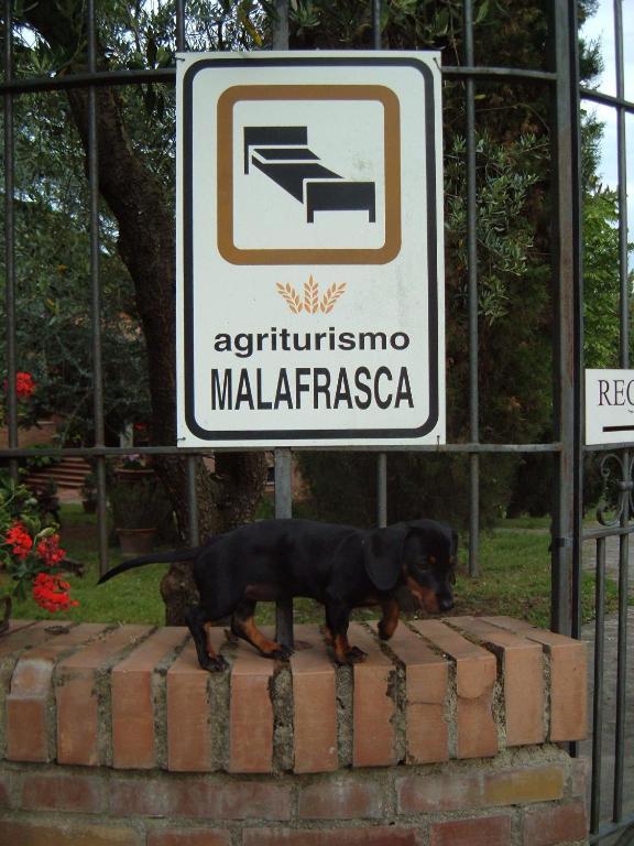 Agriturismo Malafrasca Villa Siena Eksteriør bilde